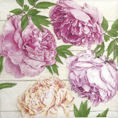 Paper Napkin - Romantic Peonies on White Wood