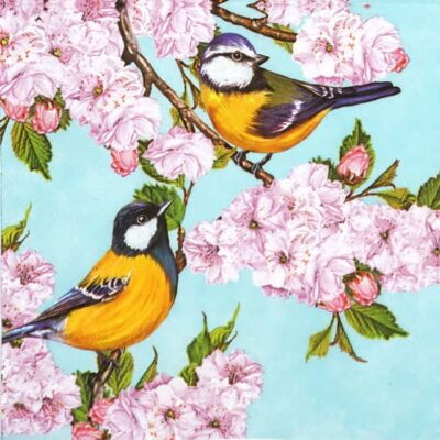 Paper Napkin - Tits on Cherry Blossom Twig