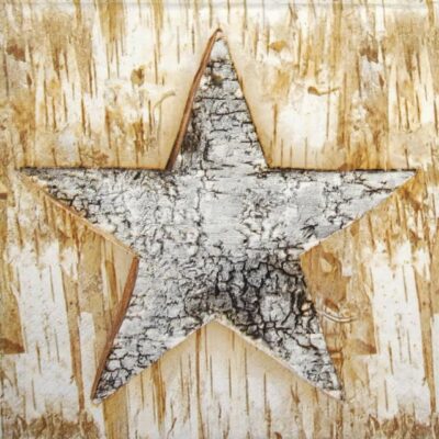 Lunch Napkins (20) - Wooden Eco Star