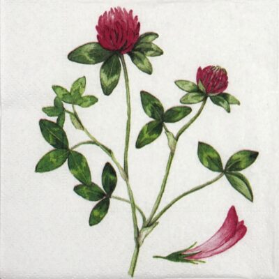Paper Napkin - Red Clover