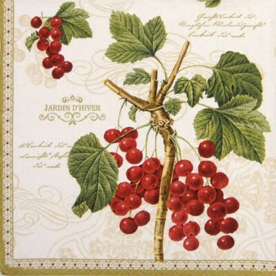 Lunch Napkins (20) - Jardin D'Hiver