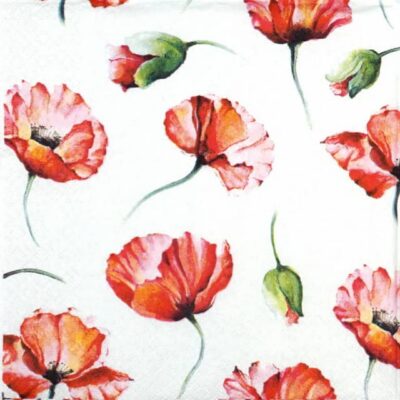 Lunch Napkins (20) - Poppy Drawing