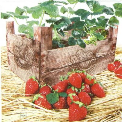 Paper Napkin - Strawberry Case