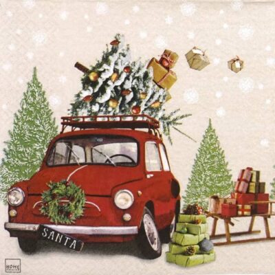 Paper Napkin - Last Minute