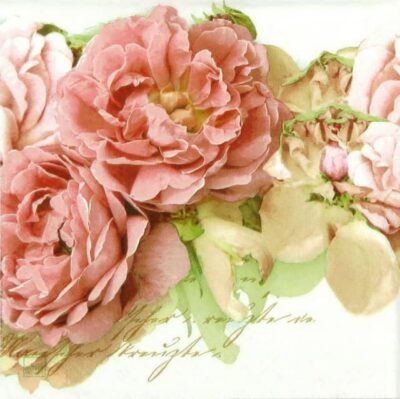 Lunch Napkins (20) - Mary Roses