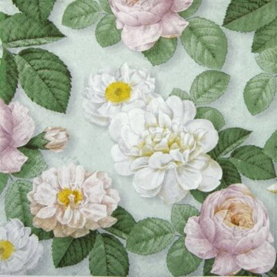 Lunch Napkins (20) - La Rosa mint