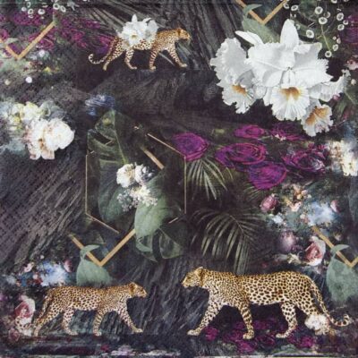 Lunch Napkins (20) - Mysterious