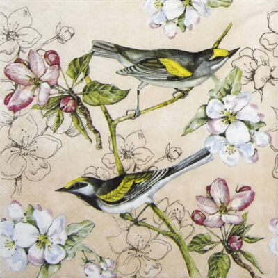 Lunch Napkins (20) - Birds Symphony apricot