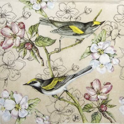 Lunch Napkins (20) - Birds Symphony cream