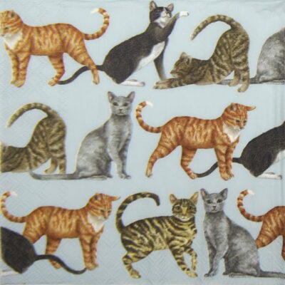 Paper Napkin -  Cats light blue