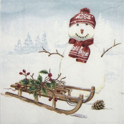 Paper Napkin - Frank Snow