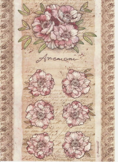 Rice Paper - Anemone