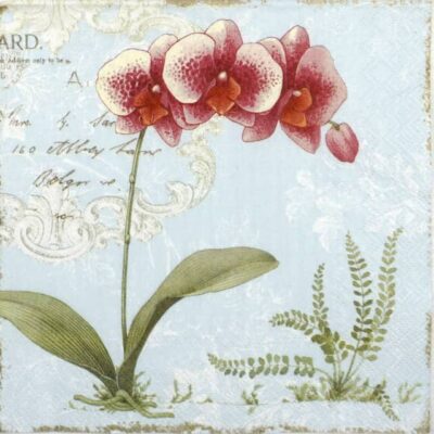 Lunch Napkins (20) - L'Orchidée Light Blue