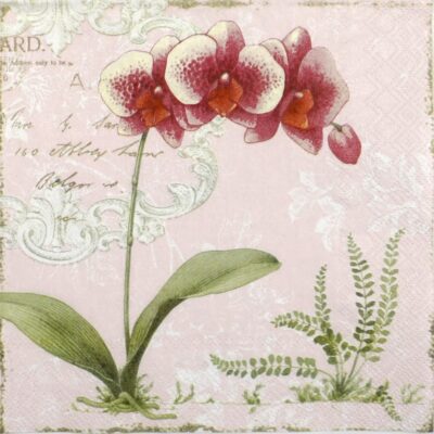 Lunch Napkins (20) - L'orchidée light rose
