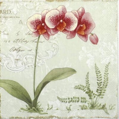 Lunch Napkins (20) - L'Orchidée Light green