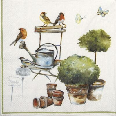 Lunch Napkins (20) - I'm in the garden white