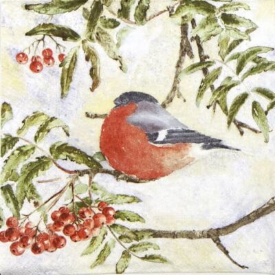 Lunch Napkins (20) - Mona Svärd: Gimpel