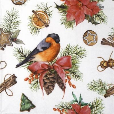 Lunch Napkins (20) - Winter Decoration