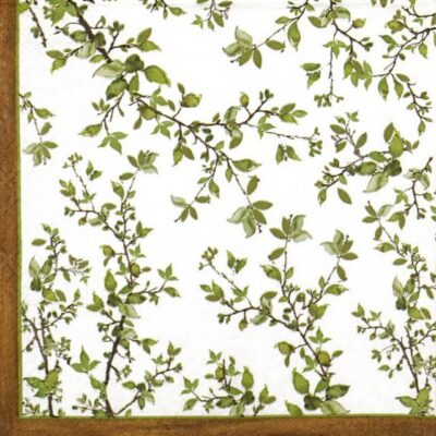 Paper Napkins (20) - Natura