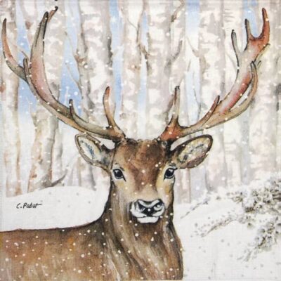 Paper Napkin -  Carola Pabs: Charles