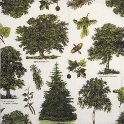 Paper Napkin - Tassotti: Alberi