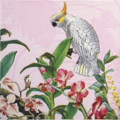 Lunch Napkins (20) - Adriana Sanmartin: Kakadu