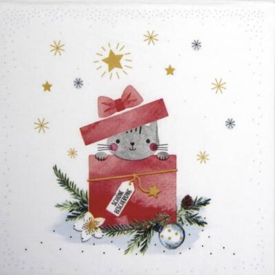 Paper Napkin - Katrin Lorenz: Surprise