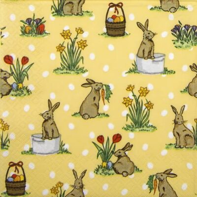 Paper Napkins - Little Rabbits (20 pieces)