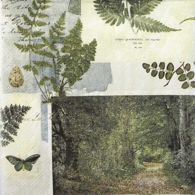 Single Paper Napkin - Mariposa