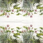 Natural Herbs Napkins 20 pack featuring detailed botanical illustrations of various herbs on a white background.