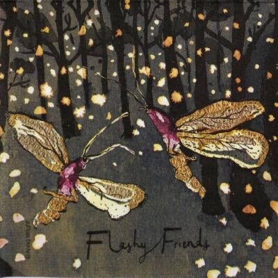 Single Decoupage Napkin - Anna Wright: Flashy Friends