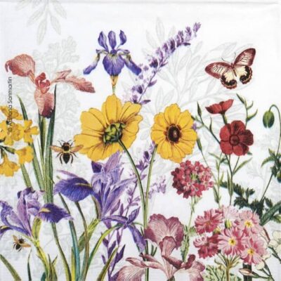 Paper Napkins - Adriana Sanmartin: Imagination (20 pieces)