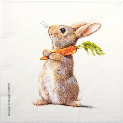 Paper Napkins - Rabbit & Carrot (20 pieces)