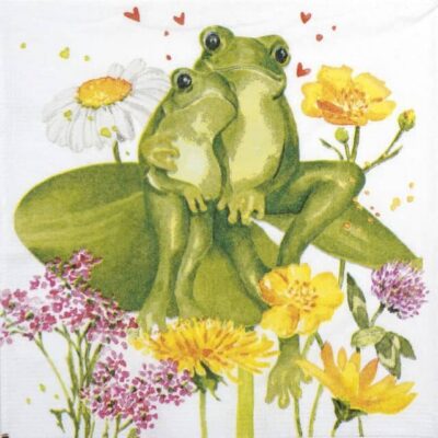 Single Decoupage Napkin - Carola Pabs: Tina & Tom