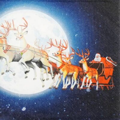 Single Decoupage Napkin - Lunar Xmas