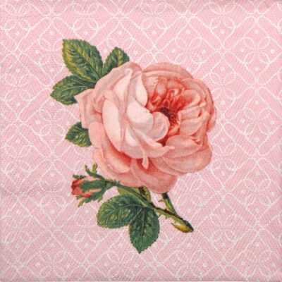 Paper Napkin - Portrait of Rose