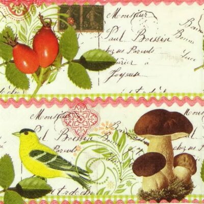 Paper Napkin - Botanical Postcard
