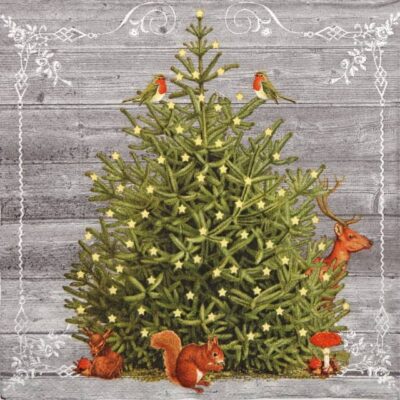Lunch Napkins (20) - Special Tree