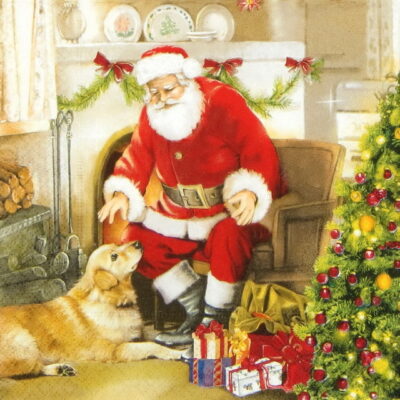 Lunch Napkins (20) - Welcome Father Santa