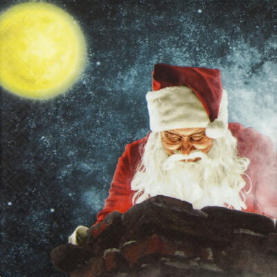 Lunch Napkins (20) - Peeping Santa