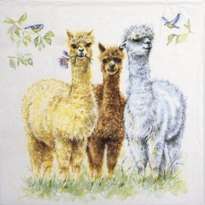 Single Decoupage Napkin - Alpaca Friends