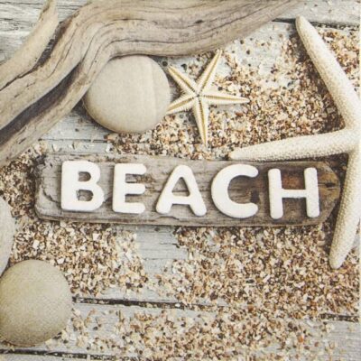 Single Decoupage Napkin - Beach Wood