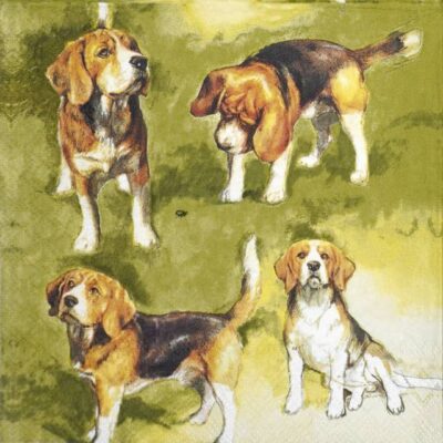 Single Decoupage Napkin - Beagles
