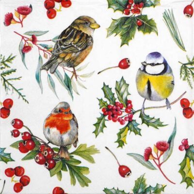 Birds in Winter Decoupage Napkin