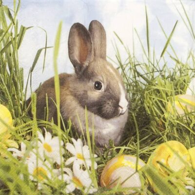 Paper Napkins - Brown Rabbit (20 pieces)