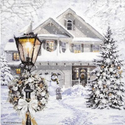 Paper Napkins - Christmas house (20 pieces)