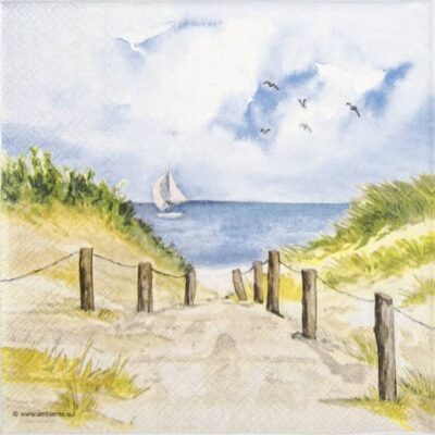 Single Paper Napkin - Dune Path