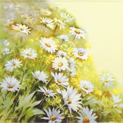 Cocktail Paper Napkin - Faces The Sun