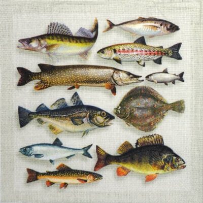 Single Decoupage Napkin - Fish Variety