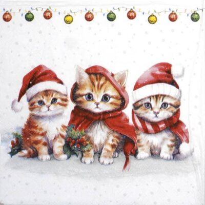 Cocktail Napkins - Funny cute kittens (20 pieces)